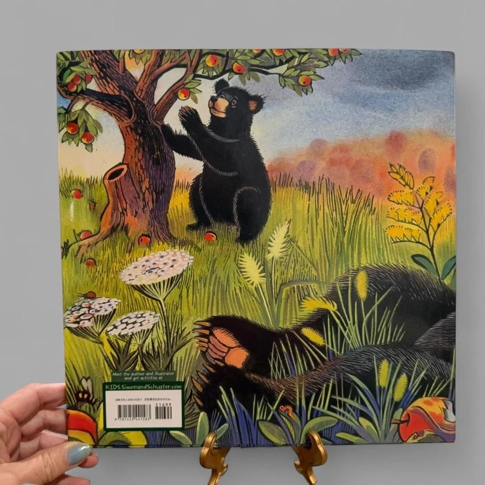 Ashley Wolff's Baby Bear Counts One Book - Colorful Learning Adventure